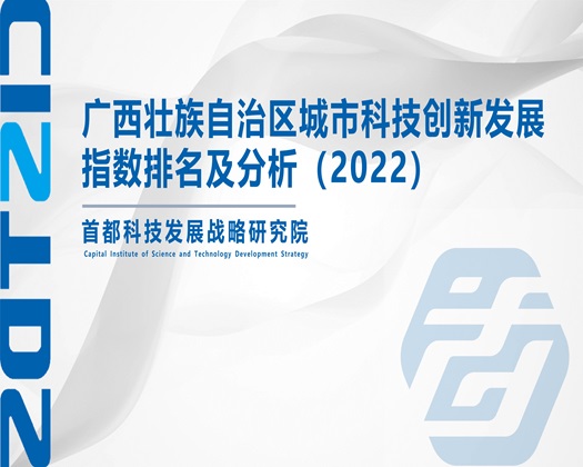 老师腿抬高点我要进来动态图【成果发布】广西壮族自治区城市科技创新发展指数排名及分析（2022）